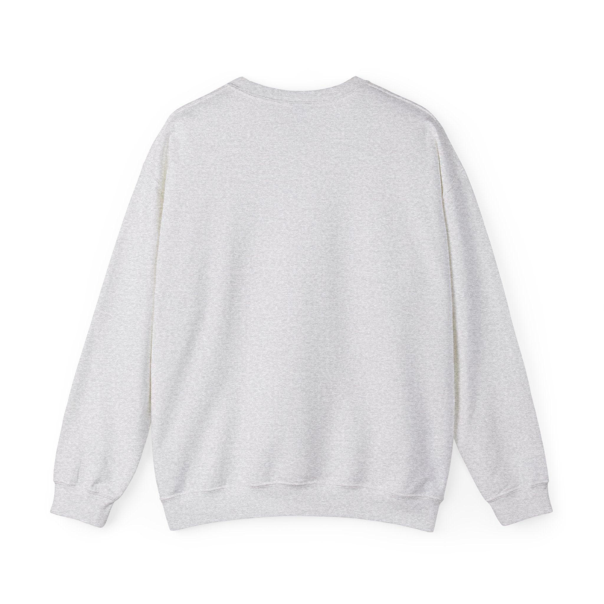 School Spirit Sweatshirt - Adult