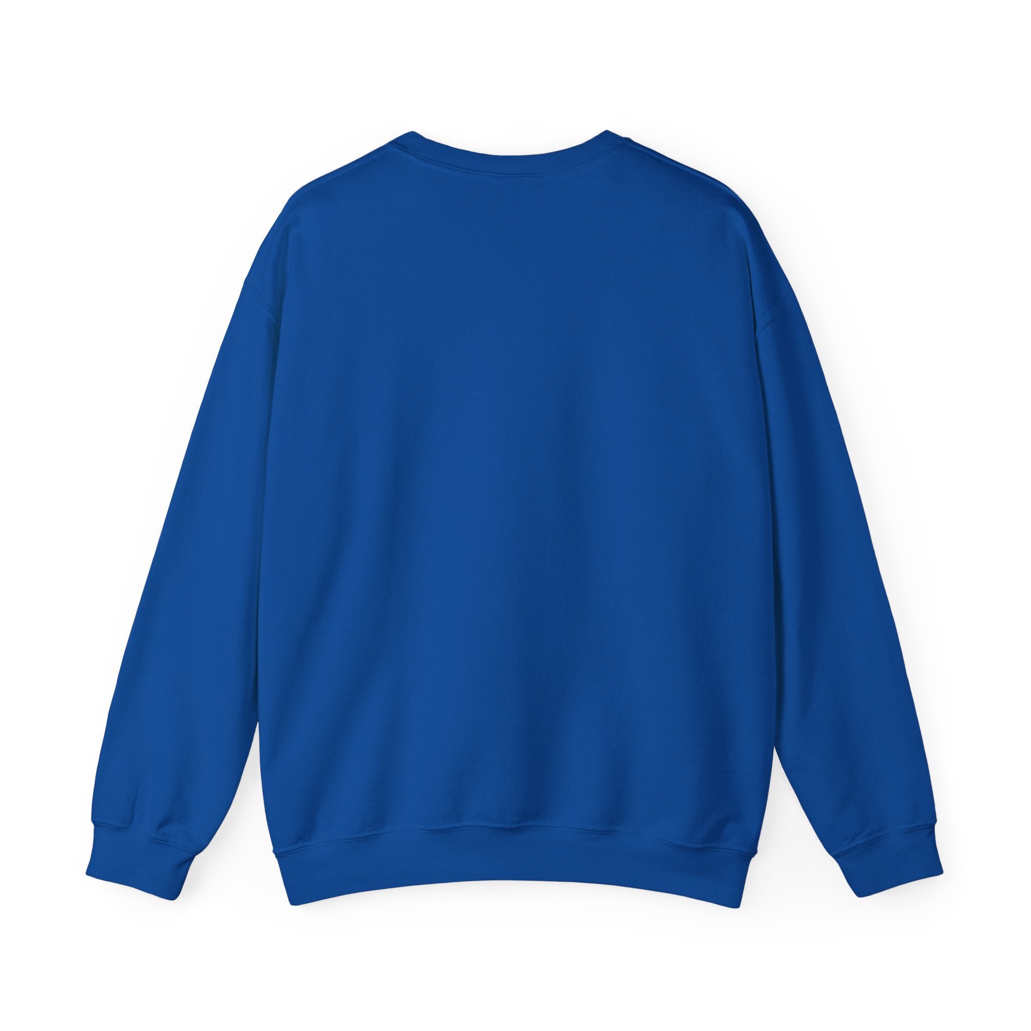 School Spirit Sweatshirt - Adult